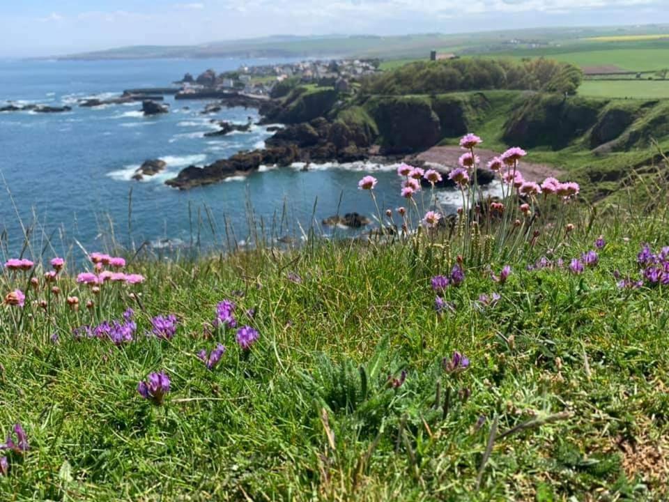 Relax In A 1 Bedroom Apartment Near A Country Pub Eyemouth Exteriér fotografie